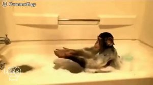 Очепятки.ру