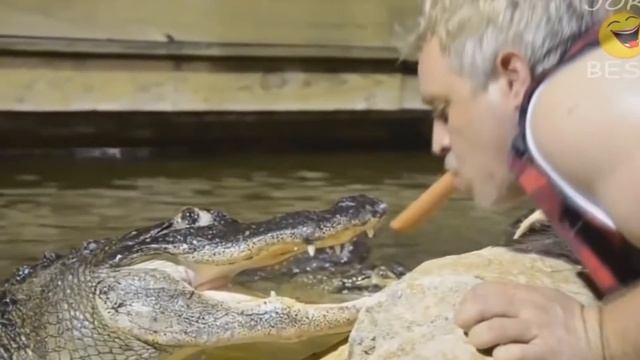 Лучшие приколы и фэйлы уходящего 2014 года смотреть онлайн