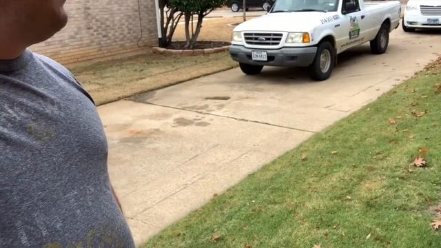 Does Zoysia Grass Stay Green in the Winter? смотреть онлайн