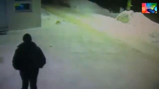 Прикол Ночное дежурство Кот и охранник смотреть онлайн