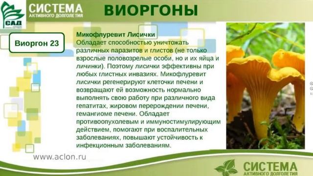Онкология ,кисты, папиломы и капли Ямских.