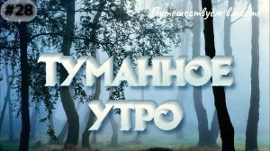 28-Туманное утро. Мамайский лес