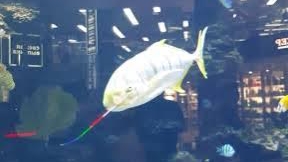 Воспоминания  2021г. Продолжение нашей прогулки по г. Белгород