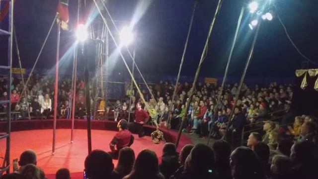 ЧЕРЕПОВЕЦ Вологодской области.13октября 2019года. Цирк, гимнасты смотреть онлайн