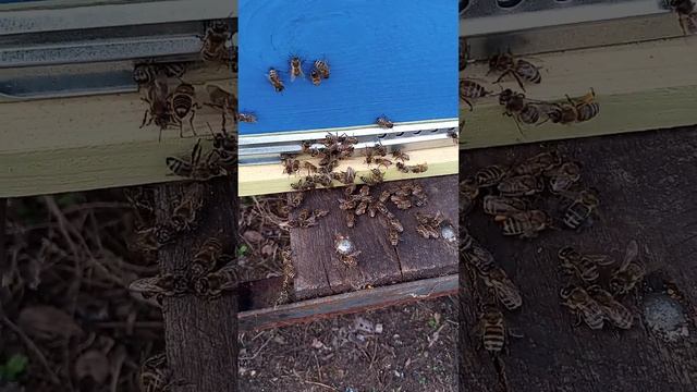 2 апреля 2024 г. смотреть онлайн