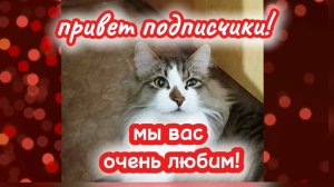 ПРИВЕТ ПОДПИСЧИКИ, ДРУЗЬЯ! МЫ  ВАС ОЧЕНЬ ЛЮБИМ!