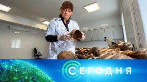 «Сегодня»: 30 апреля 2025 года. 16:00 | Выпуск новостей | Новости НТВ