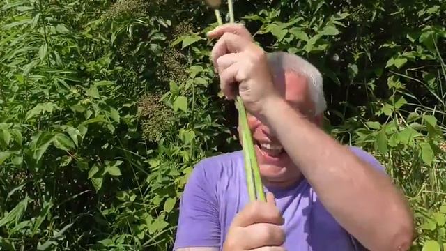 У меня камыш Геннадий Горин смотреть онлайн