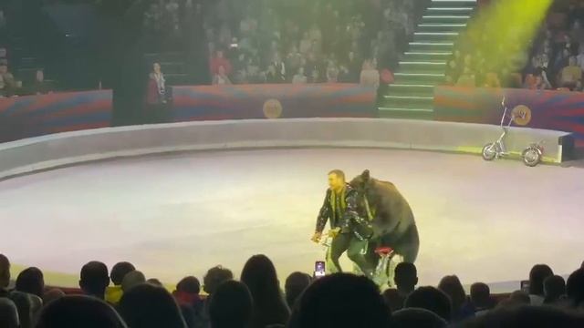 цирк Автово Санкт-Петербург Мишка смотреть онлайн