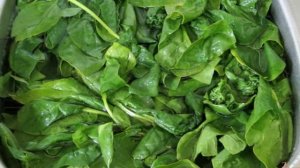 Заморозка шпината на зиму