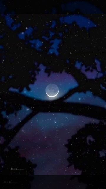 Прикольные картинки смотреть онлайн