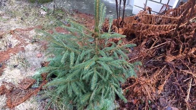 118 * Короче! Дело к ночи! шутка :))) смотреть онлайн