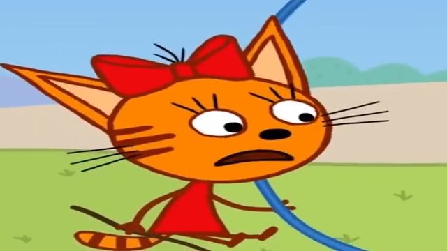 Три скота-безумие в цирке!