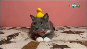 фрагмент Эфира карусель (12.06.2023)