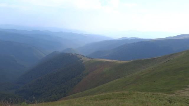Полонина Боржава.Великий Верх.Стій