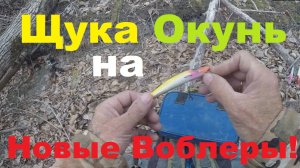 Щука Окунь на Новые ВОБЛЕРА!