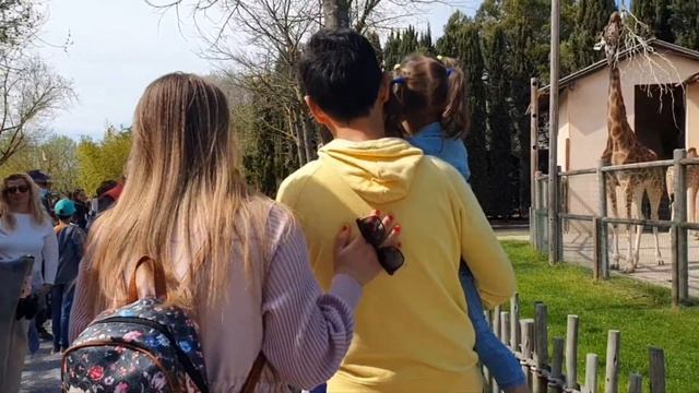 Италия BIBIONE zoo punta verde.Фламиного,аист,жирафы смотреть онлайн