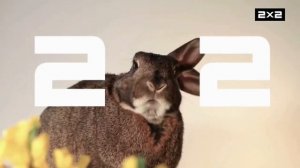 Смена логотипа (2х2,01.10.2023)