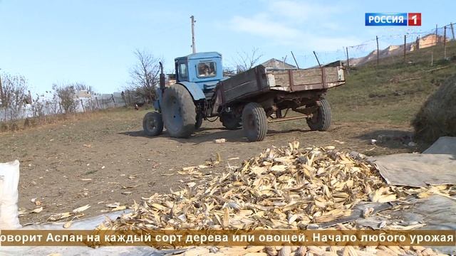 "Корни и крона" (на черкесском языке)