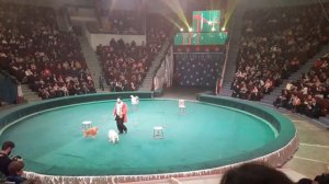 "Новогоднее Судоку"в Алматинском цирке.