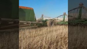 Посев по очесу. Посев май 2018.