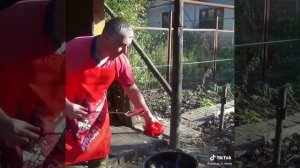 Курочка терияки в казане