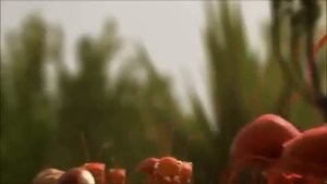 Сила команды! Мультфильм