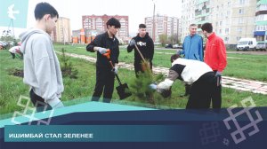 В ГОРОДЕ И РАЙОНЕ  ПОСАДИЛИ НОВЫЕ ДЕРЕВЬЯ