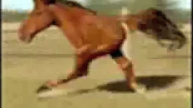 Смешные видео которые не смешные