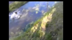 ТОП 10 Прыжков в воду/СМЕШНЫЕ ПРЫЖКИ В ВОДУ