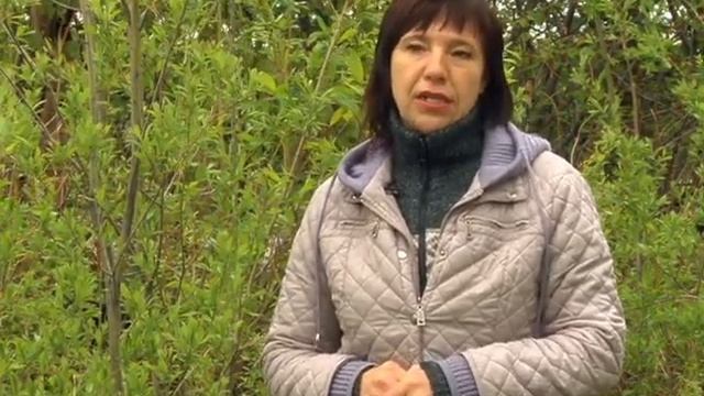 Ногликская телестудия. Новости от 17.06.2016 смотреть онлайн