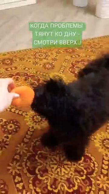1000207269.mp4