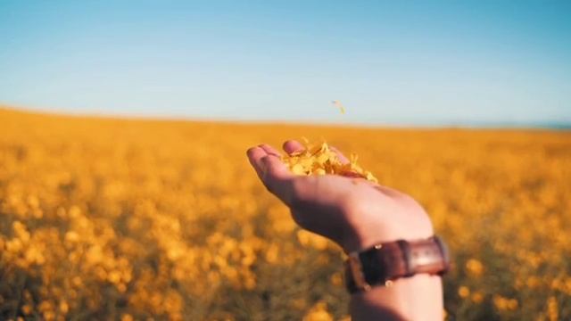 Моя любимая Весна смотреть онлайн