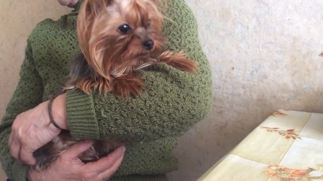 У Бони забрали котлетки ругается смотреть онлайн