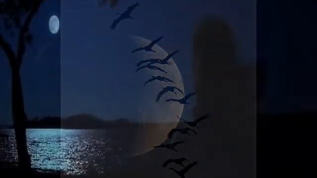 НАТАЛЬЯ МОГИЛЕВСКАЯ ПОЛЮБИ МЕНЯ ТАКОЙ автор ролика Светлый смотреть онлайн