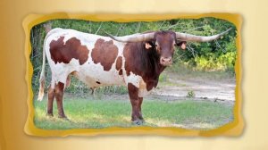 С добрым утром, малыши! - Клуб деловых детей - Выпуск №4. Золото и его роль в экономике