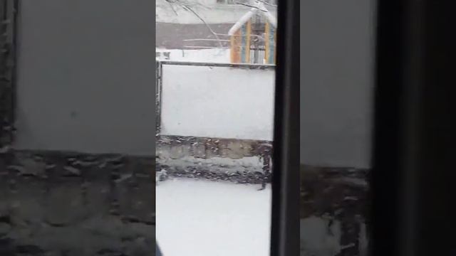 На улице очень красиво! ВЕСНОЙ ВЫПАЛ СНЕГ! смотреть онлайн