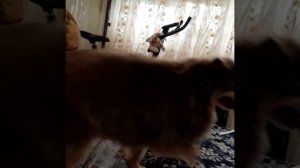 Майка счастливая и довольная