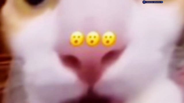 Тест на шизу уровень норм смотреть онлайн