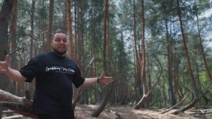 Тайна пьяного леса / аномальное местечко под Рязанью