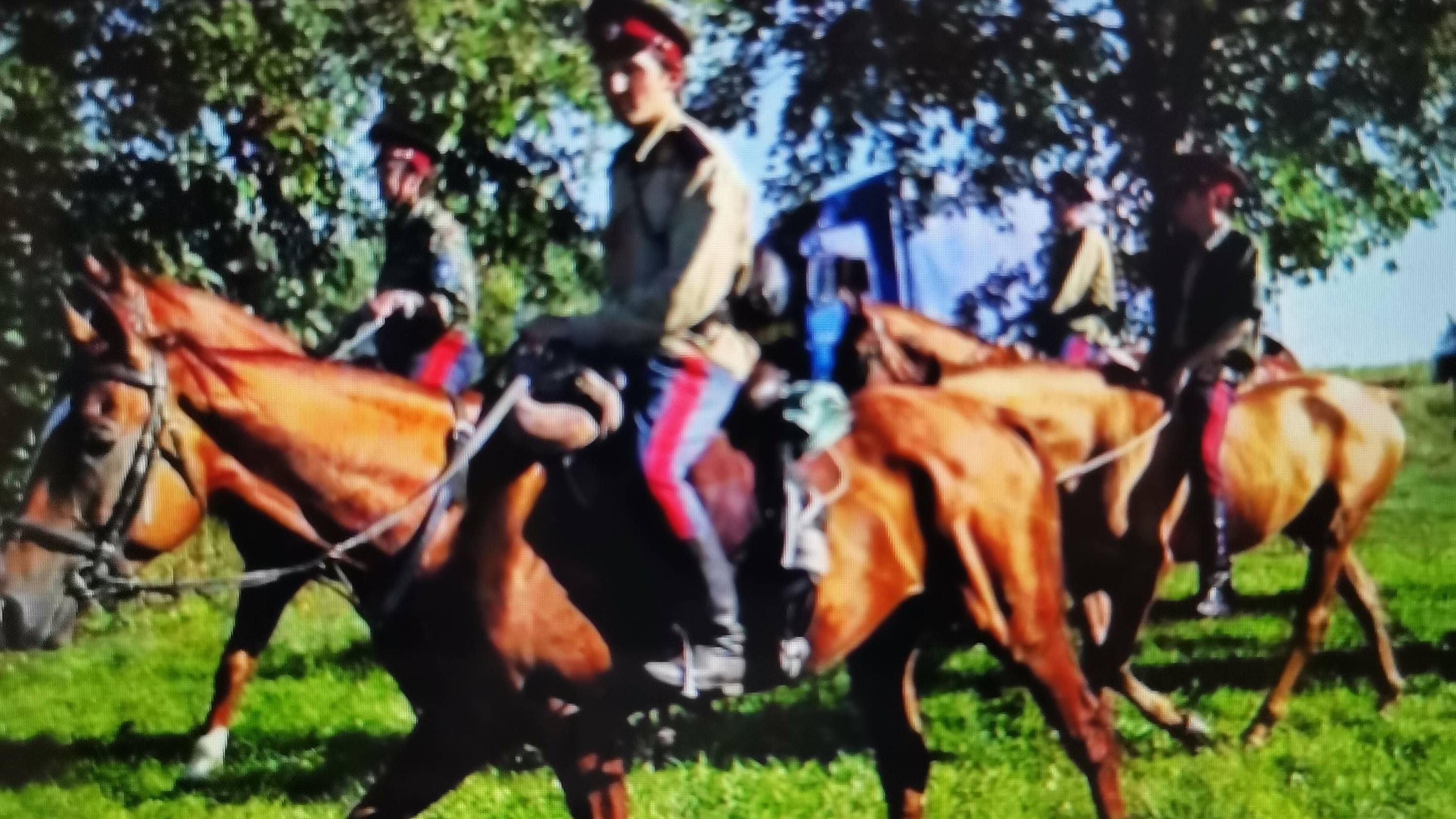 Ты лети мой конь (Ой, при лужку, при лужке)