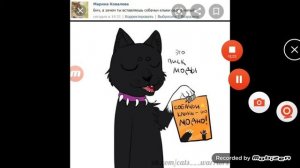 коты воители приколы 4 часть