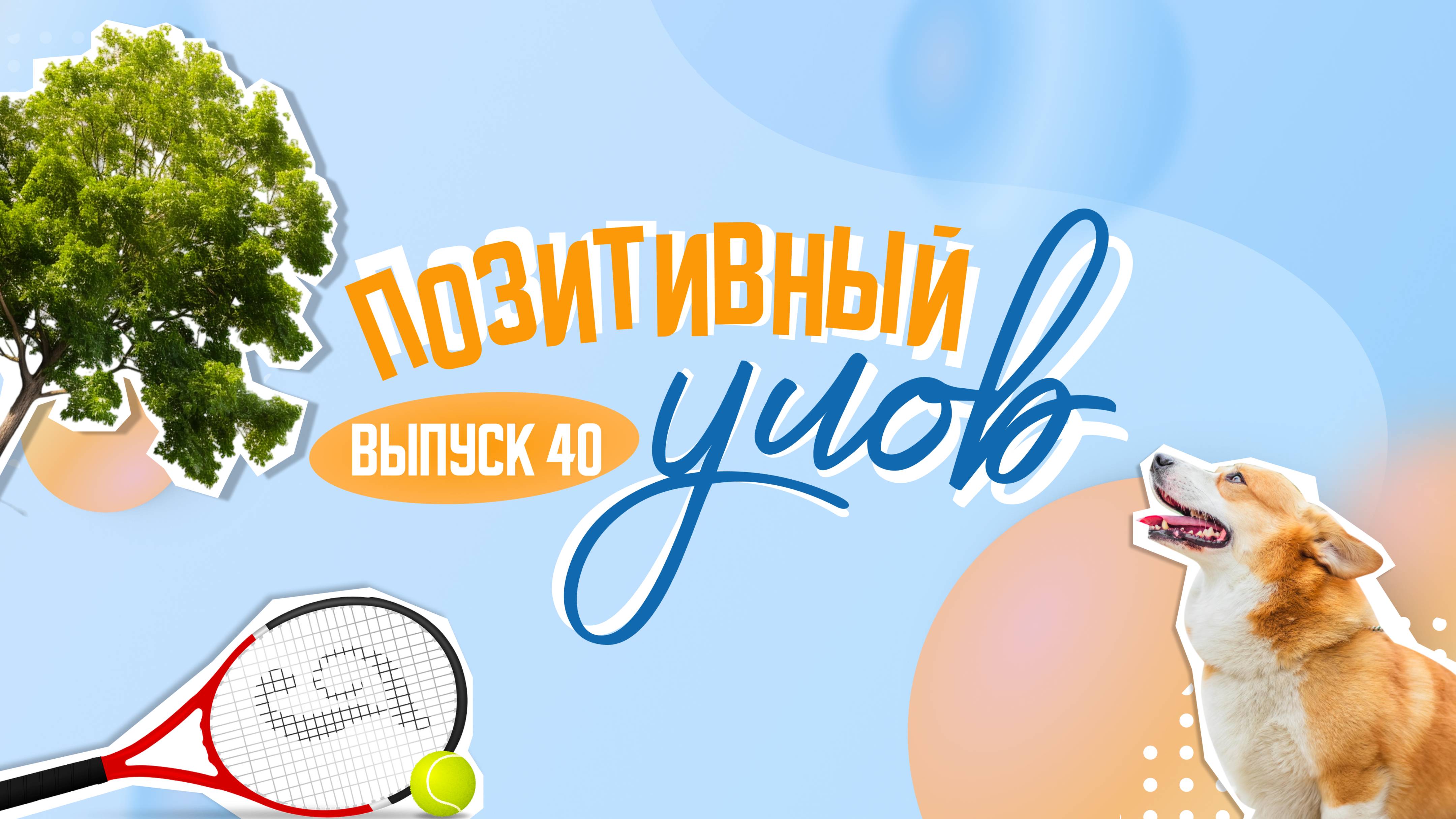 Мудрый конь и домашняя черепаха . "Позитивный улов"