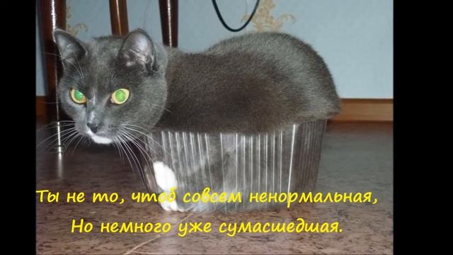 Прикольные животные и дети смотреть онлайн