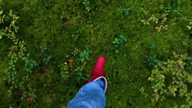 ПЕРВЫЙ МЕСЯЦ ЖИЗНИ В ФИНЯНДИИ/ВОЛОНТЁРСТВО/ИЗУЧЕНИЕ ЯЗЫКА смотреть онлайн