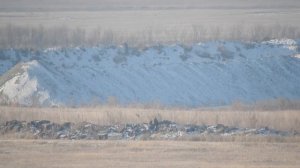 CZ 527 MTR 6,5 grendel, 721 метр, 123 Scenar,