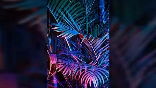 Мой первый мини-клип из сохраненок смотреть онлайн