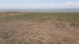 Ейск. Николаевская 14, номер 5. Обзор.