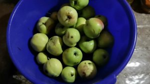 Сушёные яблоки без духовки и сушилки