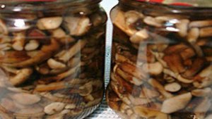 Опята маринованные